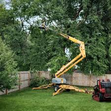 Best Tree Removal  in Holtsville, NY