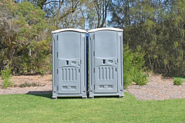 Best Grass Overseeding  in Holtsville, NY